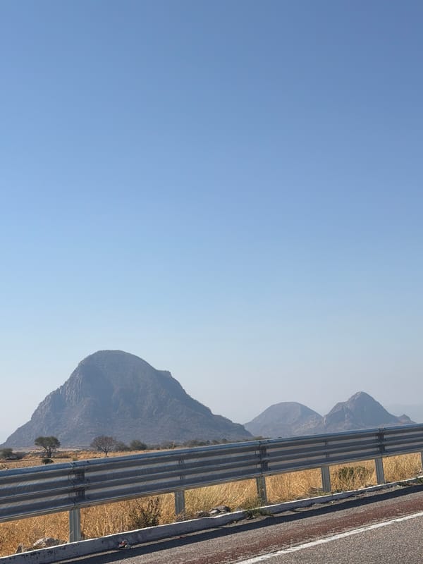 Roadside scene documented in Acteopan, Mexico