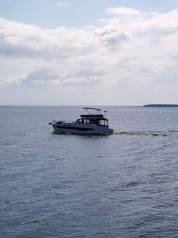 Out on the water, watching boats and industrial shorelines pass by