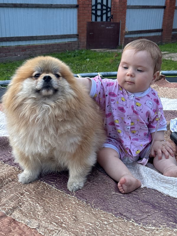 Family picnic with baby and dogs in Rusalevka