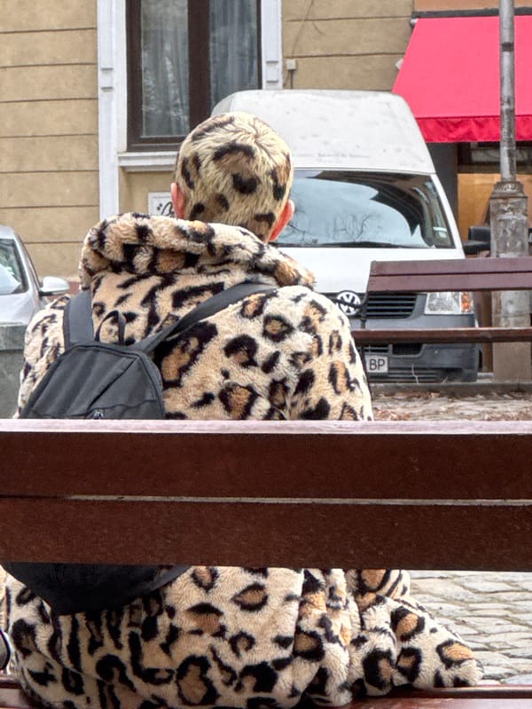 Orange tabby cat spotted resting on dark blue vehicle