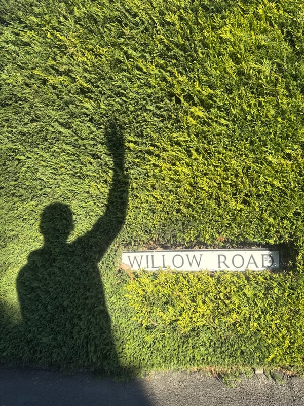 Shadow captured on Willow Road hedge in South Kesteven