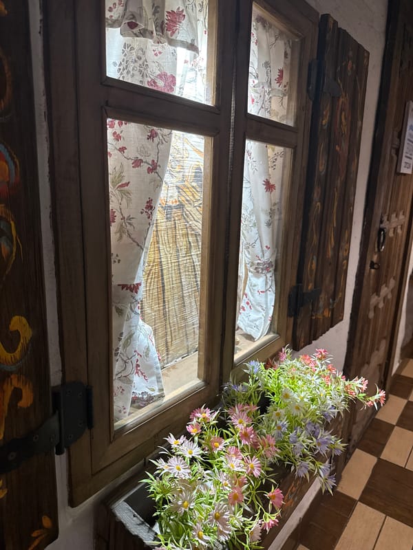 Traditional Russian culture documented in Noviy cafe and buildings
