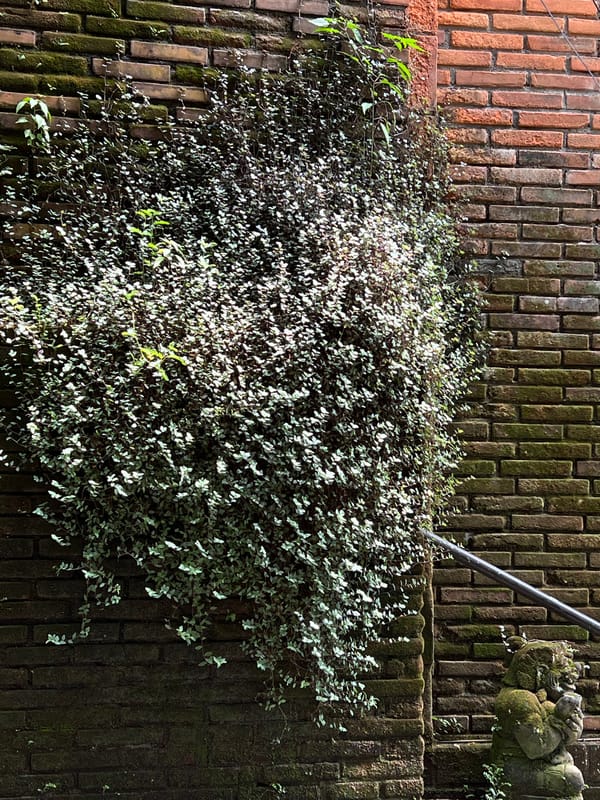 Morning documentation of traditional Ubud architecture and crafts