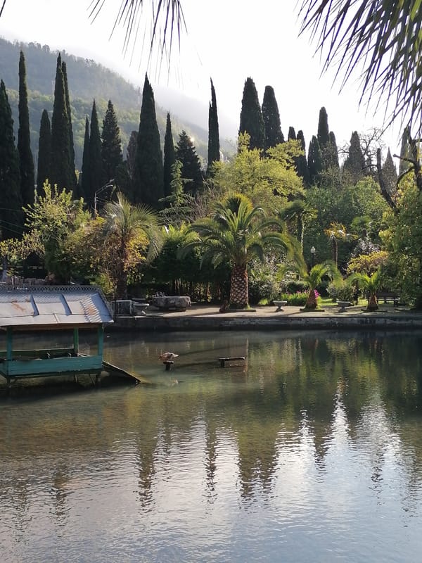 Morning tranquility captured at New Athos park in Abkhazia
