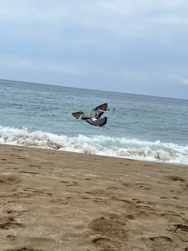 Alanya beach on a cloudy summer morning, waves and crowds
