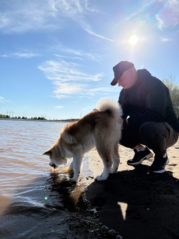 Beachgoers and dog enjoy waterfront afternoon in Chaikovsky, Russia