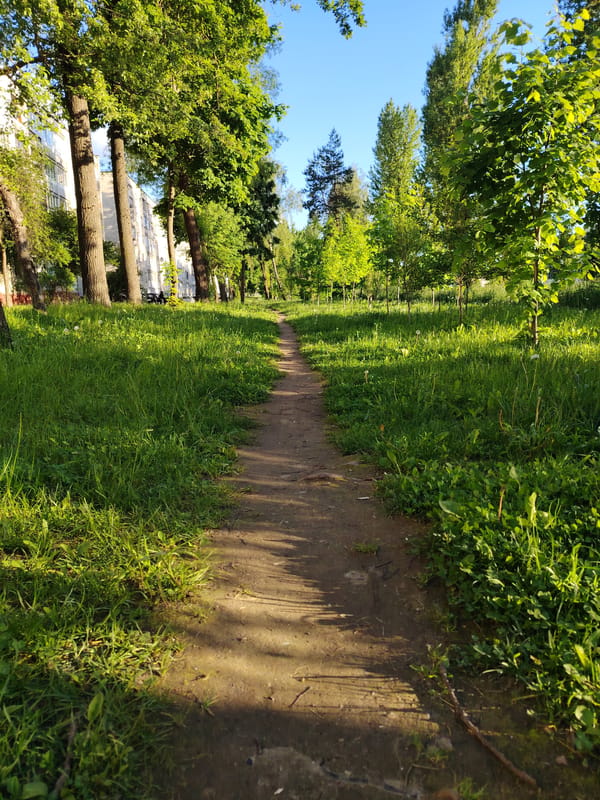 Nature walk documented through Belarusian village captures local wildlife