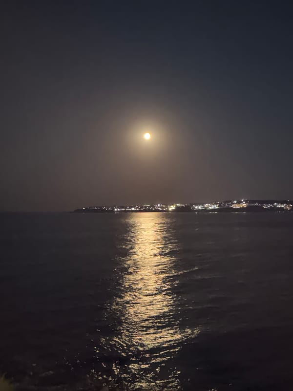 Sozopol waterfront glows under a full moon at night