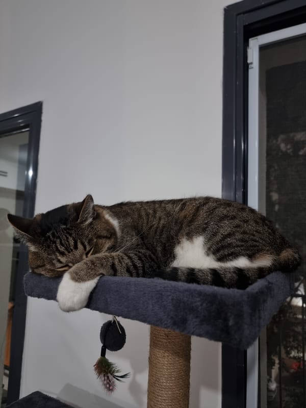 Quiet domestic moments captured in Bat Yam home