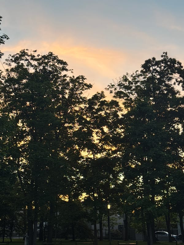 Evening twilight scenes documented in Buk, Poland