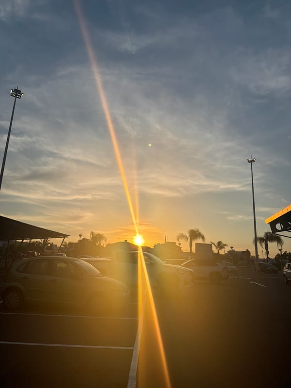 Sunset photography session with dog captured in Kiti, Cyprus