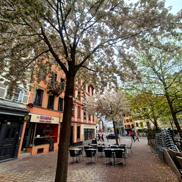 Spring morning walk documented along Strasbourg canals and streets