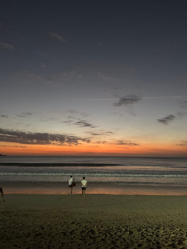 Sea turtle hatchlings reach the ocean at dusk, Kuta Selatan