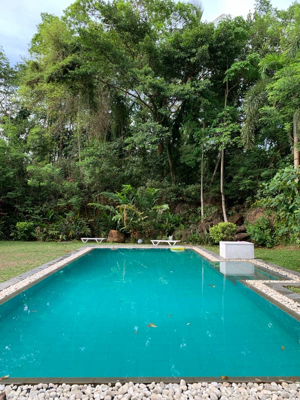 Swimming pool reflects forest canopy in Sri Lanka