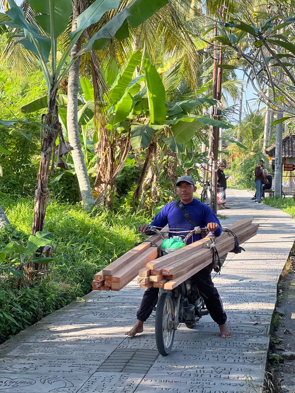 Morning farm work across Ubud's rice paddies and coconut groves