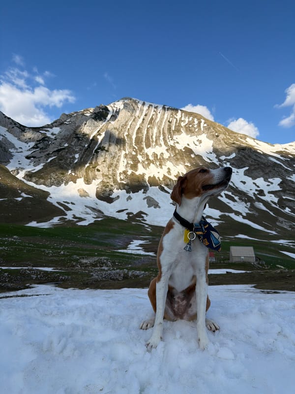 Spring mountain scenes captured in Montenegro's snowy highlands