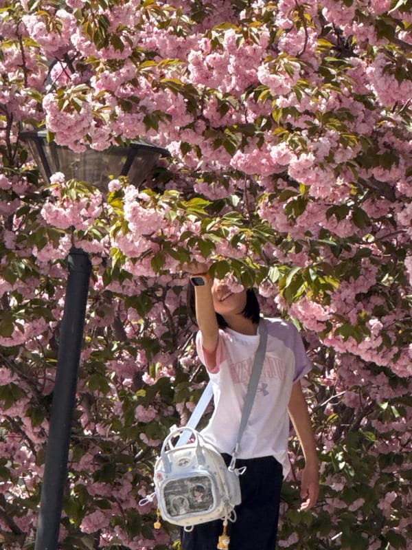 Spring morning activities documented in blooming Zhongtun, China
