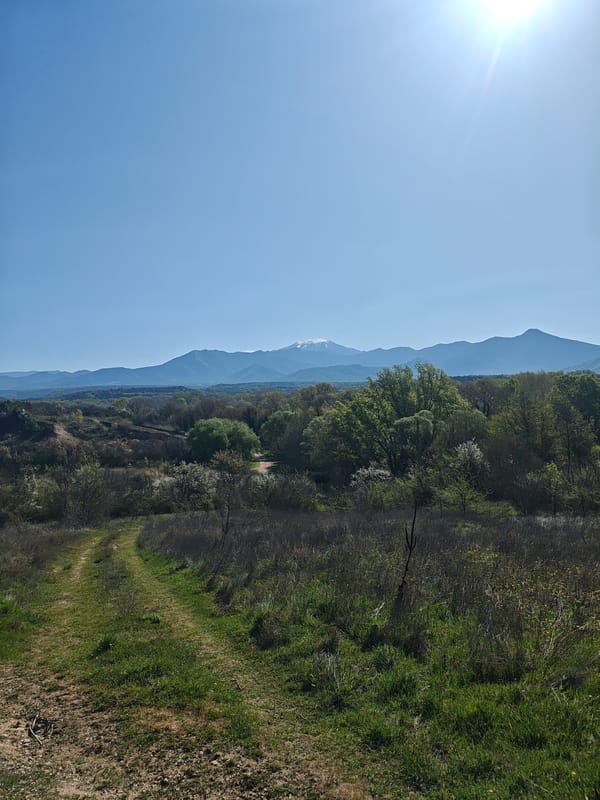Morning landscapes captured across rural hills and suburban neighborhoods