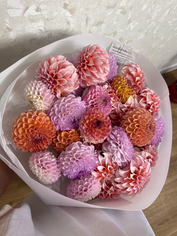Colorful dahlia bouquet held in Kremenchuk, Ukraine