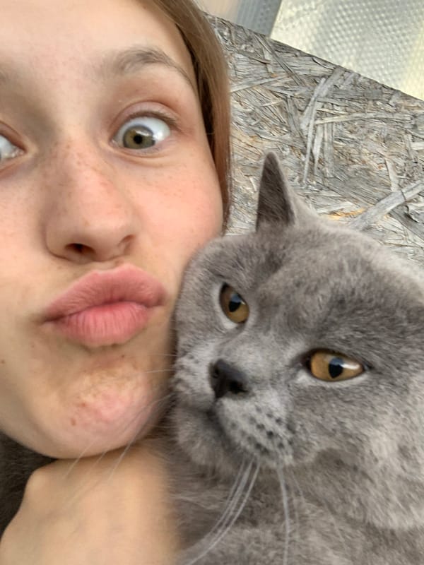 Person plays with gray cat in Russian village yard