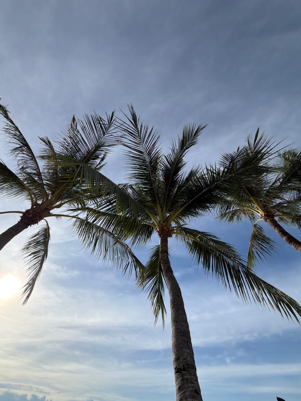 Beach resort mornings and market runs in Baan Bo Phut