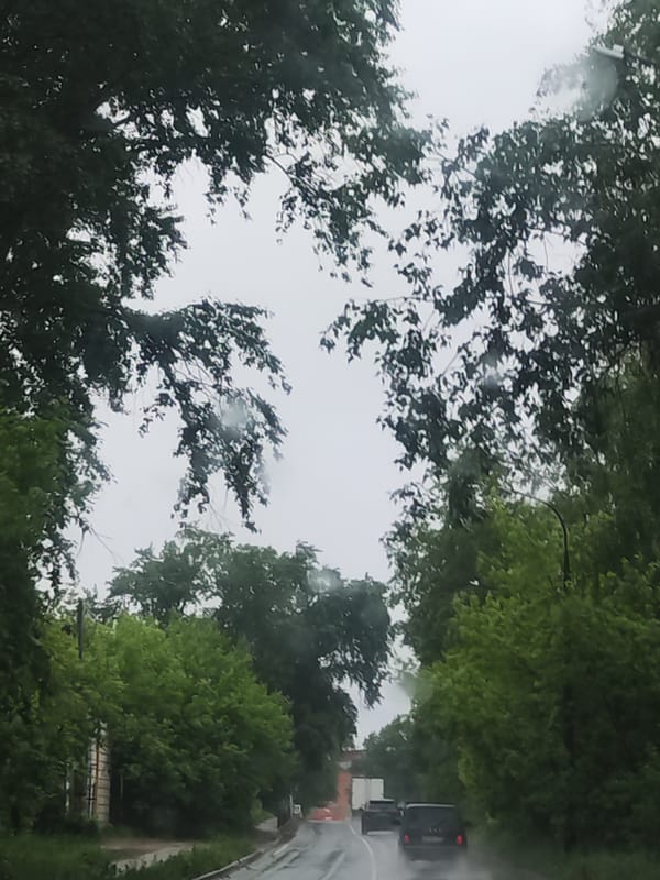 Morning rainfall documented on residential roads, May 28
