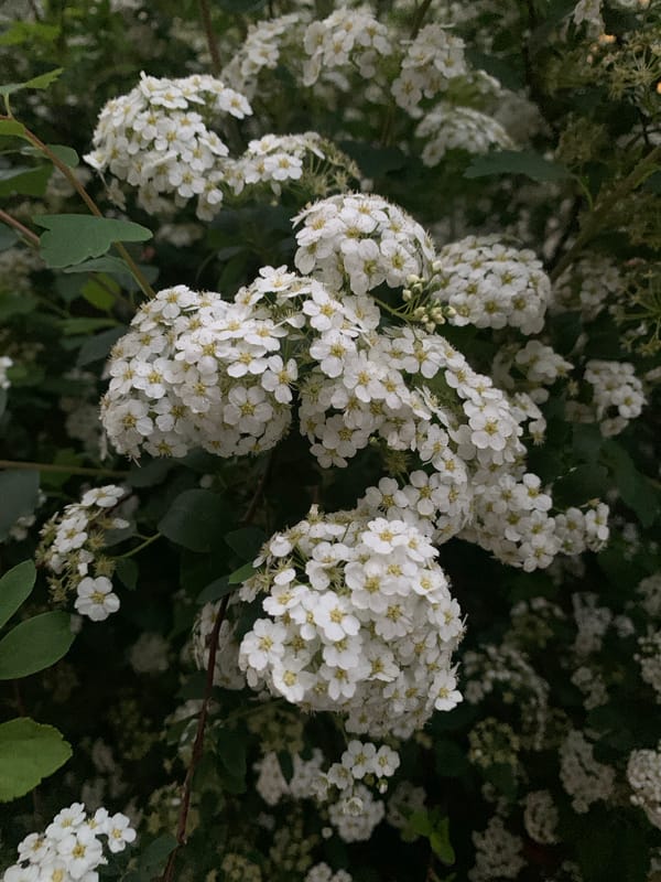 Witness documents ordinary spring afternoon scenes in Stavropol