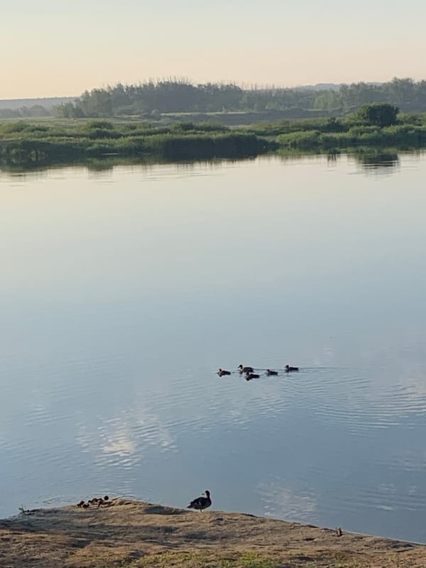 Calm waterside morning near Kostanay, bridge and greenery in view
