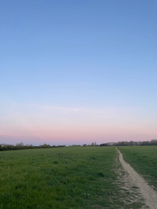 Blanketed horse grazes at sunrise in Maidstone field