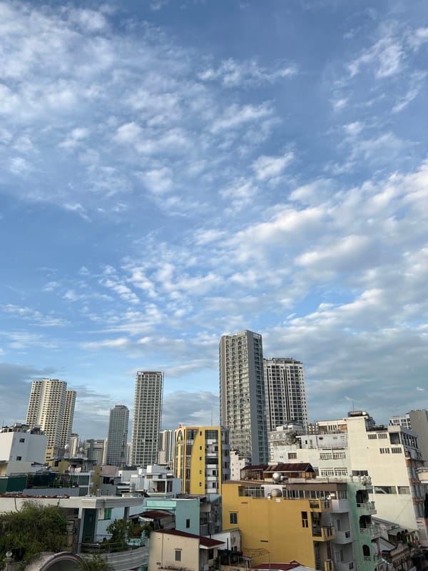 Nha Trang skyline from above, rooftops and all