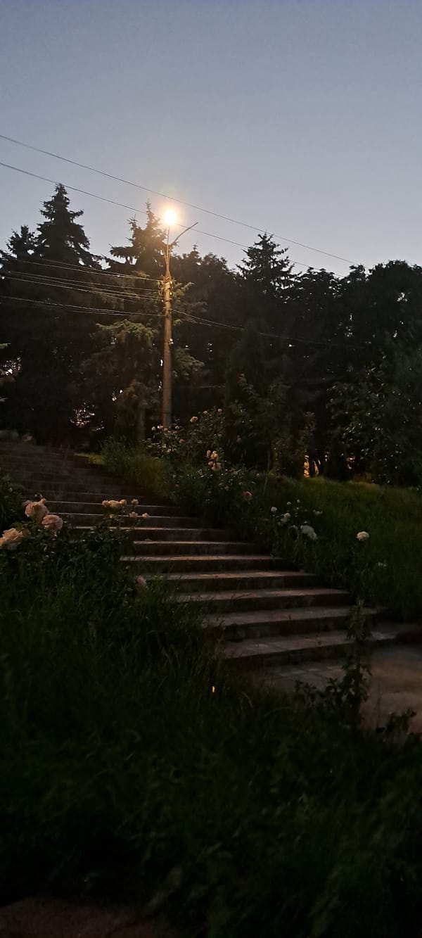 Dusk settles over a small Moldovan village in summer
