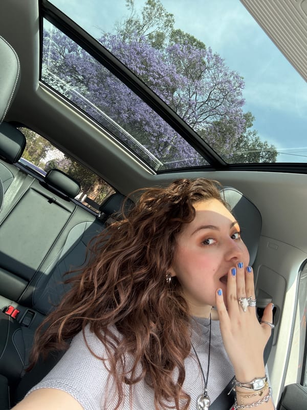 Woman observed looking through car sunroof amid Mexico City Jacarandas