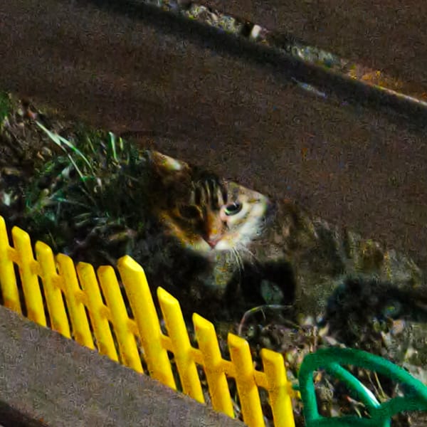 Evening scenes captured across Hrodna, Belarus