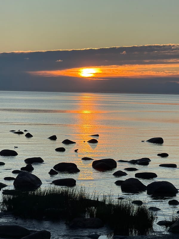 Sunset on the Estonian coast: swans, rocks, and Baltic ferries