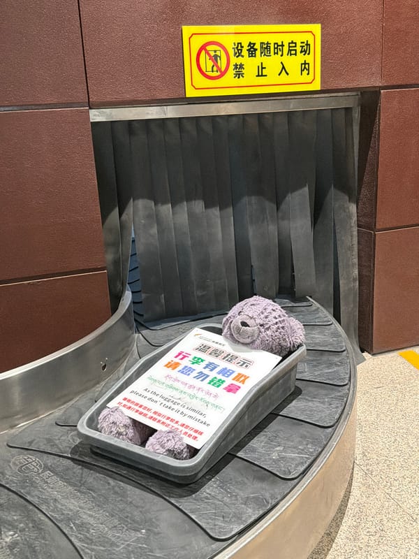 Purple stuffed animal spotted on airport luggage carousel in Gyazhugling