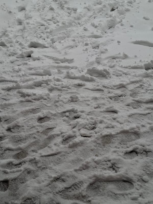 Fresh Snow and Footprints Documented in Bansko Mountains