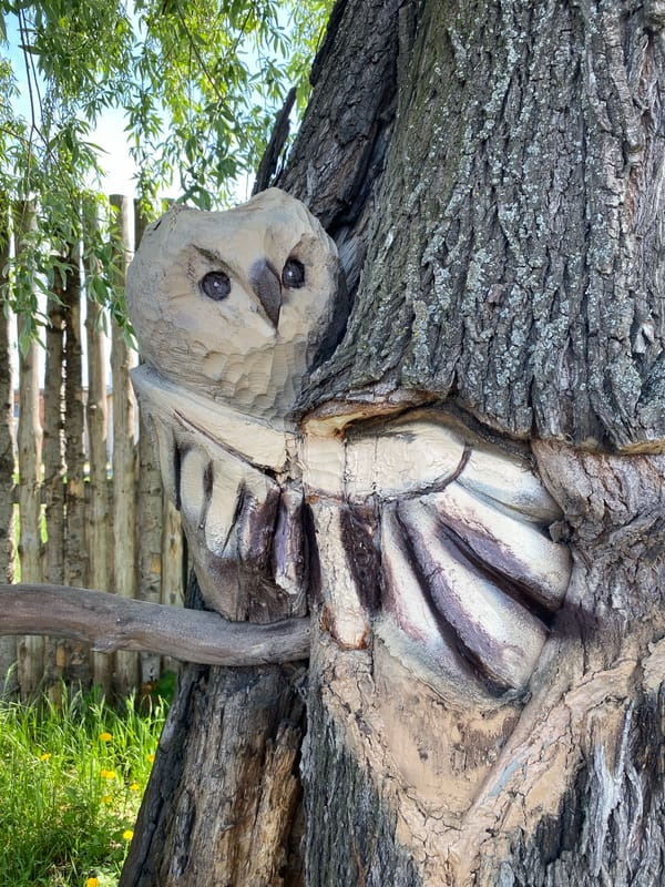 Wooden carvings and casual moments captured in Chaikovsky, Russia