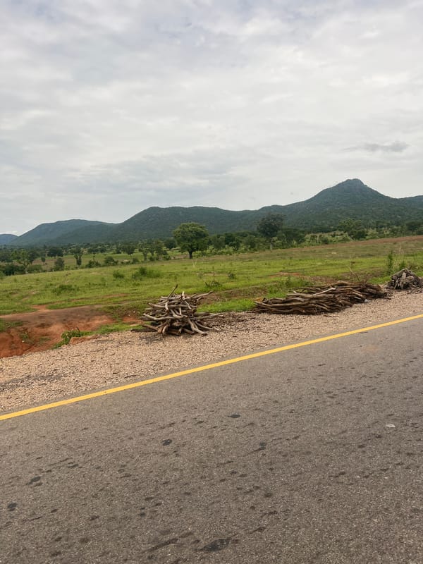 Road survey along a SUKUK infrastructure route in Minda, Nigeria
