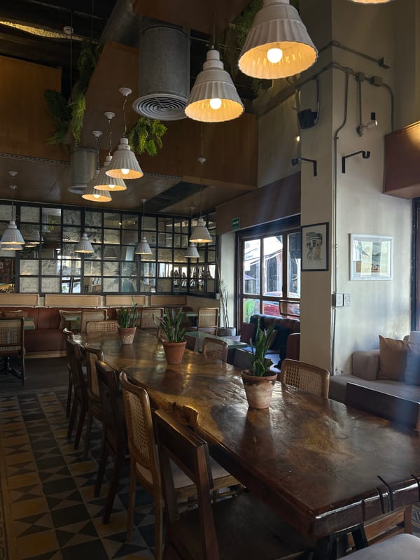 TOTEM cafe interior and exterior documented in Mazatlán