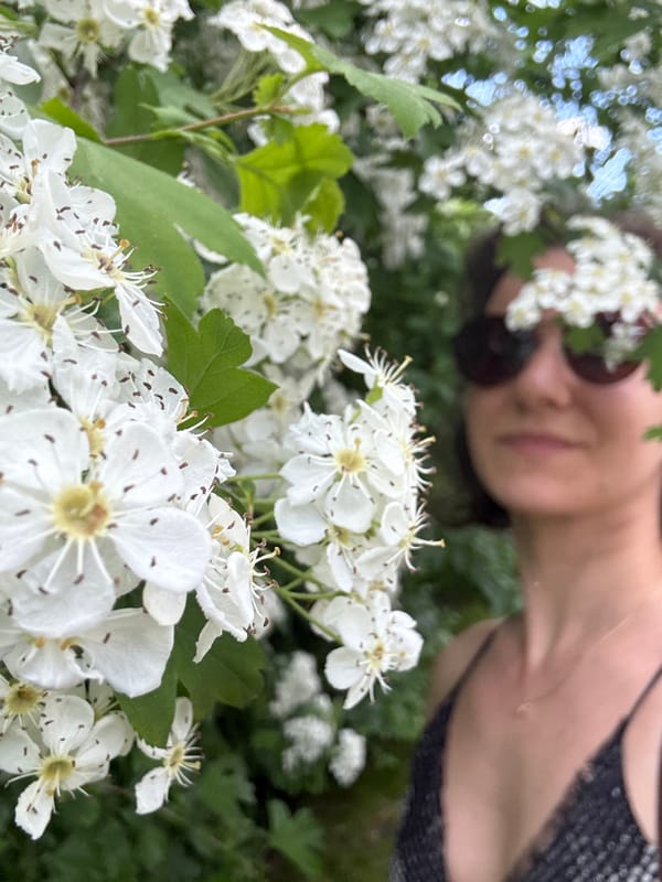 Spring blooms and aquatic vegetation observed in Saint Petersburg
