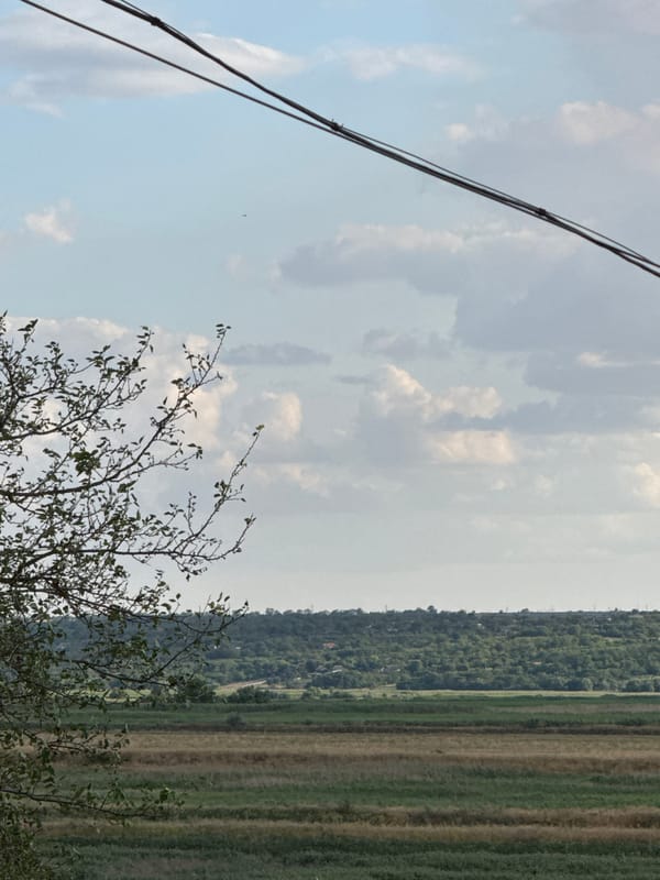 Storks, stormy skies, and a quiet afternoon at home