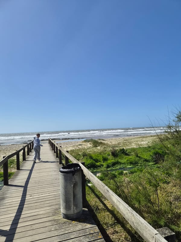 Woman and dog enjoy beach afternoon in Esposende Portugal