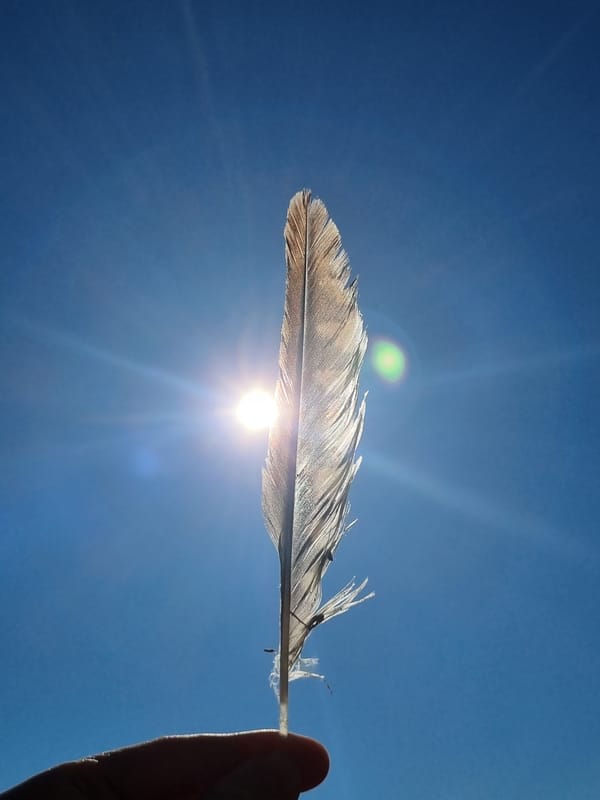 Witness captures artistic feather and hand silhouettes against sky