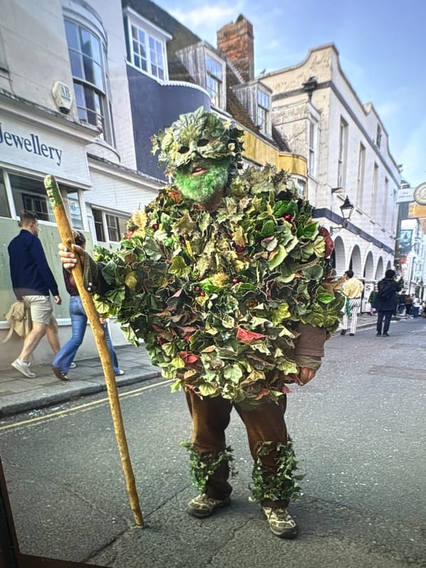 Green Man costume spotted on St Leonards street