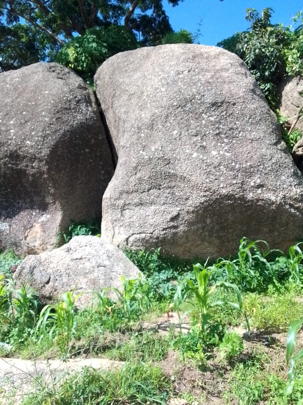 Granite boulders and cornfields in a rural village landscape