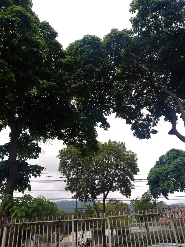 Ordinary street life documented across Caracas neighborhoods Sunday afternoon