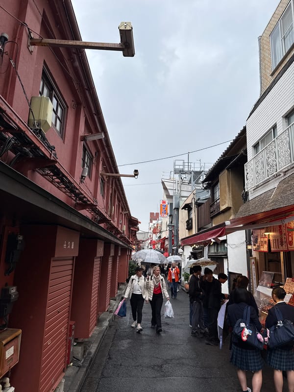 Late-night scenes documented around Tokyo's traditional Asakusa district