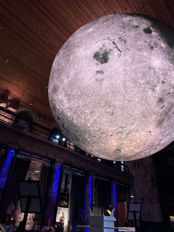 Exploring an immersive art installation in Saint Petersburg