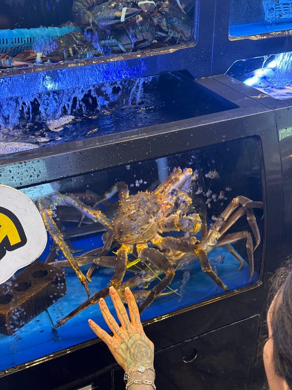 Live king crabs displayed in Seoul restaurant tanks