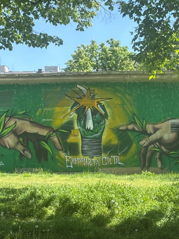 Art and education scenes documented in Pleven, Bulgaria